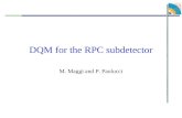 DQM for the RPC subdetector