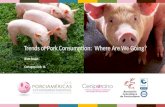 Trends  of  Pork Consumption :   Where  Are  We Going ?