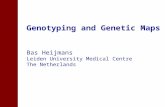 Genotyping and Genetic Maps Bas Heijmans Leiden University Medical Centre The Netherlands