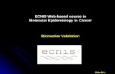 ECNIS Web-based course in Molecular Epidemiology in Cancer Biomarker Validation