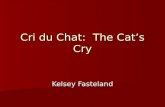 Cri du Chat:  The Cat’s Cry