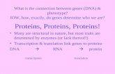 Proteins, Proteins, Proteins!