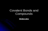 Covalent Bonds and Compounds
