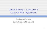 Java Swing - Lecture 3 Layout Management