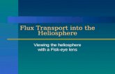 Flux Transport into the Heliosphere