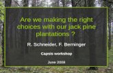 Are we making the right choices with our jack pine plantations ?