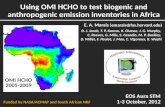 Using OMI HCHO to test biogenic and anthropogenic emission inventories in Africa