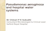 Pseudomonas  aeruginosa  and hospital water systems
