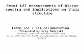 Fermi LAT measurements of blazar spectra and implications on their structure