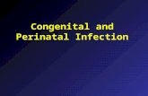 Congenital and Perinatal Infection