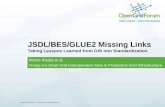 JSDL/BES/GLUE2 Missing Links Taking Lessons Learned from GIN into Standardization