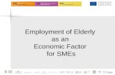 Employment of Elderly  as an  Economic Factor for SMEs