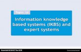 Information knowledge based systems (IKBS) and expert systems