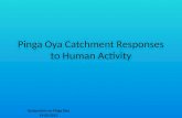 Pinga Oya Catchment Responses to Human Activity