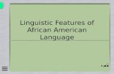 Linguistic Features of African American Language