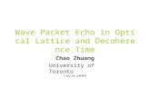 Wave Packet Echo in Optical Lattice and Decoherence Time