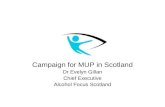 Campaign for MUP in Scotland Dr Evelyn Gillan Chief Executive Alcohol Focus Scotland