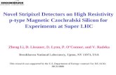 Novel Stripixel Detectors on High Resistivity  p-type Magnetic Czochralski Silicon for
