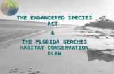 THE ENDANGERED SPECIES ACT  &  THE FLORIDA BEACHES HABITAT CONSERVATION PLAN