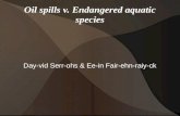 Oil spills v. Endangered aquatic species