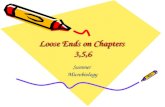 Loose Ends on Chapters  3,5,6