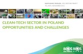 Clean-tech sector in Poland Opportunities and challenges