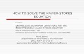HOW TO SOLVE THE NAVIER-STOKES EQUATION