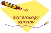 EOC BIOLOGY REVIEW