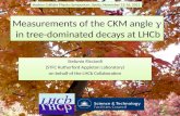 Measurements of the CKM  angle  g   in  tree-dominated  decays at LHCb