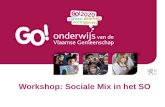 Workshop:  Sociale  Mix in het SO