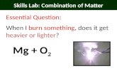 Skills Lab: Combination of Matter