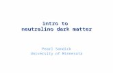 intro to  neutralino  dark matter