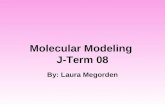 Molecular Modeling  J-Term 08
