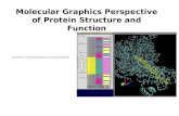 Molecular Graphics Perspective of Protein Structure and Function