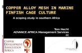 Copper Alloy mesh in marine finfish cage culture