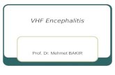 VHF Encephalitis