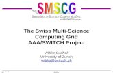 The Swiss Multi-Science Computing Grid AAA/SWITCH Project