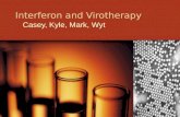 Interferon and Virotherapy