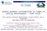 Global biomass availability in light of policy development – iLUC Focus