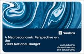 A Macroeconomic Perspective on the 2009 National Budget