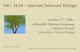 DIG 3134 – Internet Software Design