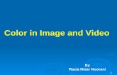 Color in Image and Video
