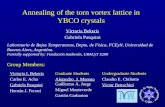 Annealing of the torn vortex lattice in YBCO crystals