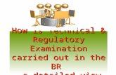 How is Technical & Regulatory Examination carried out in the BR  - a detailed view