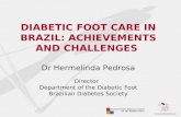 DIABETIC FOOT CARE IN BRAZIL: ACHIEVEMENTS AND CHALLENGES  Dr Hermelinda Pedrosa Director
