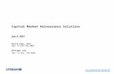 Capital Market Reinsurance Solutions July 9, 2001 Philip Kane, ACAS Tel: +1 212 723 5851