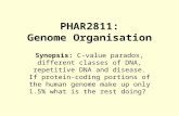 PHAR2811: Genome Organisation