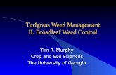Turfgrass Weed Management II. Broadleaf Weed Control