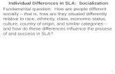 Individual Differences in SLA:  Socialization