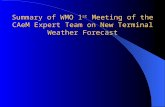 Summary of WMO 1 st  Meeting of the CAeM Expert Team on New Terminal Weather Forecast